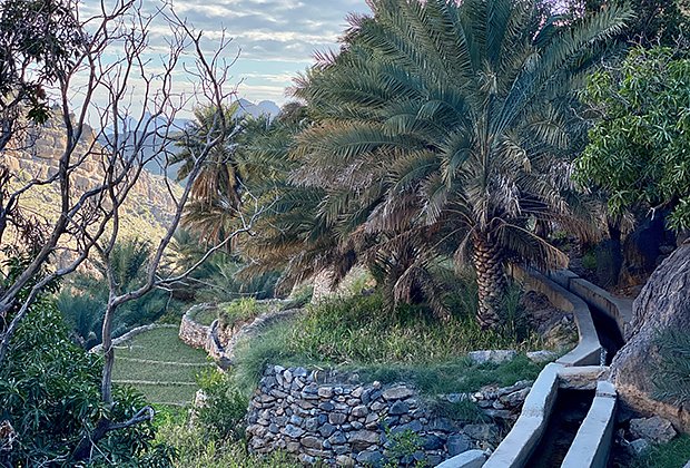 Оазисы, неповторимый парфюм и уникальные вади: Как Оман поднялся с колен и стал самой безопасной страной для путешествий 