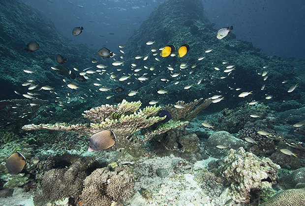 Оазисы, неповторимый парфюм и уникальные вади: Как Оман поднялся с колен и стал самой безопасной страной для путешествий 