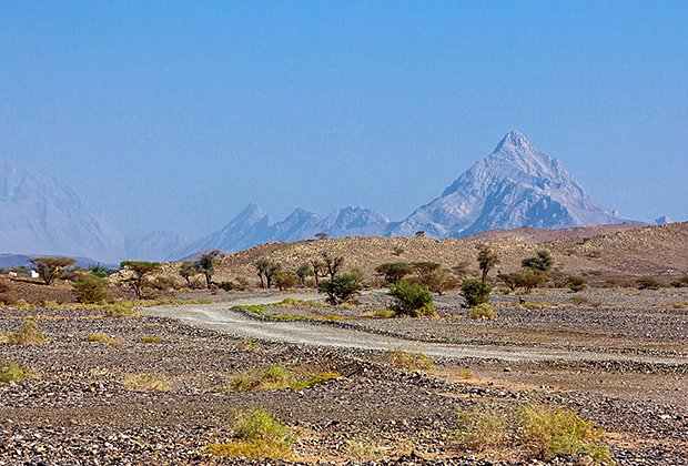 Оазисы, неповторимый парфюм и уникальные вади: Как Оман поднялся с колен и стал самой безопасной страной для путешествий 